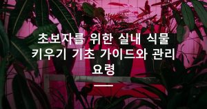 초보자도 안 죽이는 실내 식물 10종과 관리법