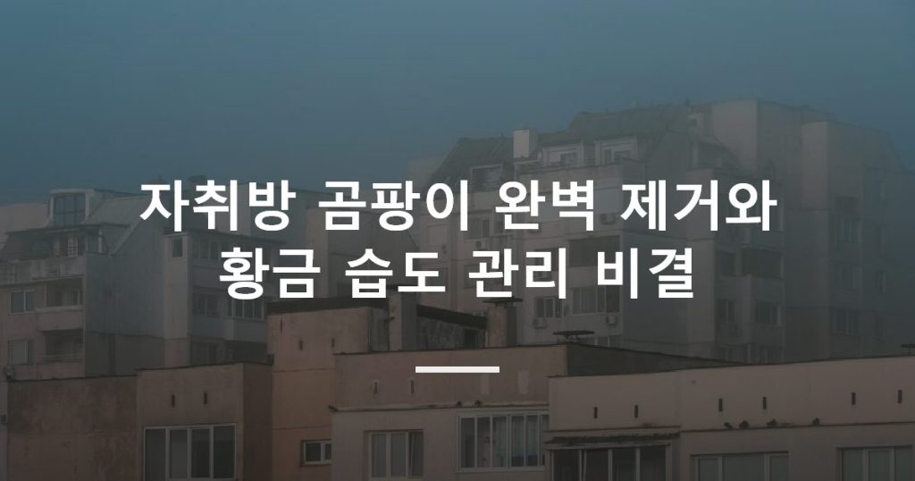 자취방 곰팡이 완벽 제거와 황금 습도 관리 비결
