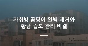 자취방 곰팡이 완벽 제거와 황금 습도 관리 비결